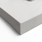 Majestic Horse Portrait - Animal Canvas Prints for Home Decor