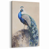 Royal Peacock Wildlife Art - Animal Canvas Prints for Home Decor