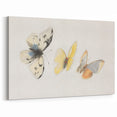 Delicate Butterfly Artwork - Animal Canvas Prints for Home Decor