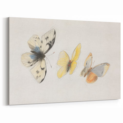 Delicate Butterfly Artwork - Animal Canvas Prints for Home Decor