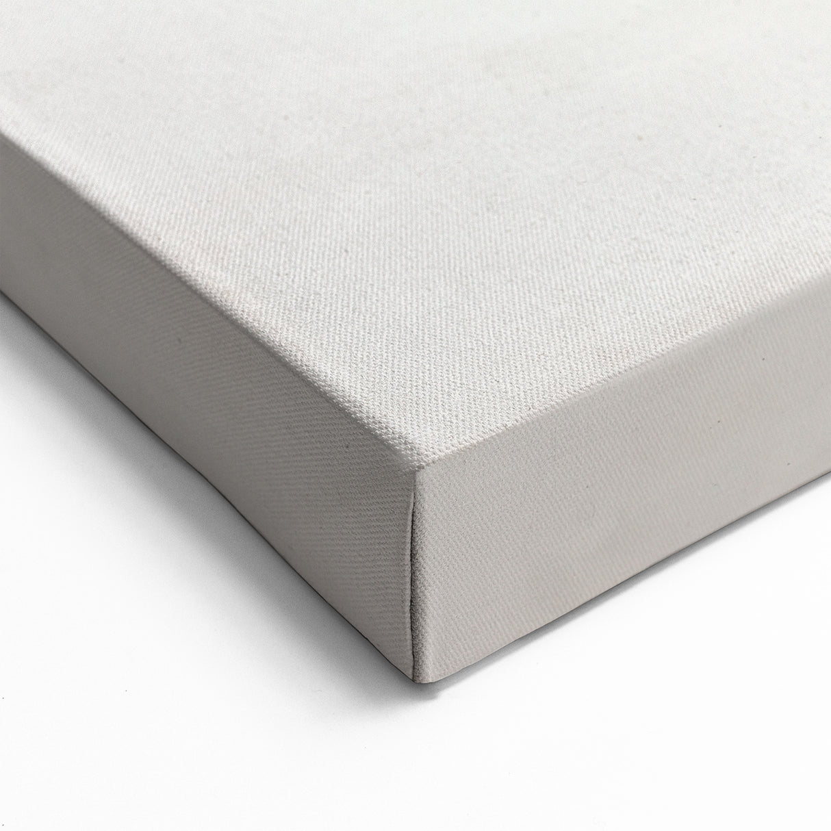 Delicate Butterfly Artwork - Animal Canvas Prints for Home Decor