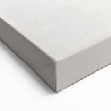 Delicate Butterfly Artwork - Animal Canvas Prints for Home Decor