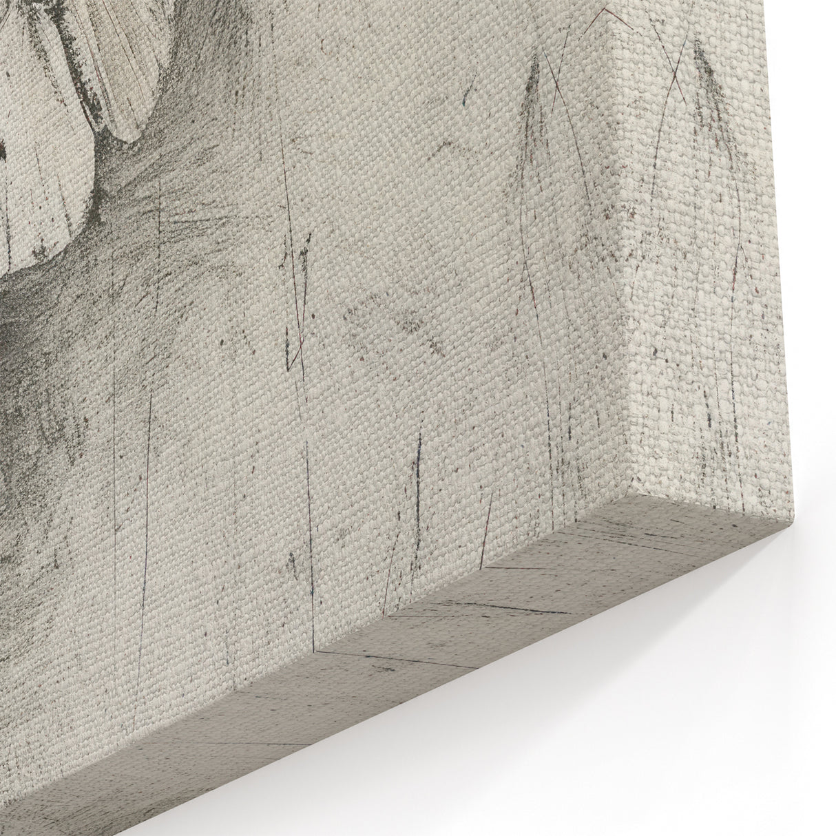 Ethereal Butterfly Artwork - Animal Canvas Prints for Home Decor