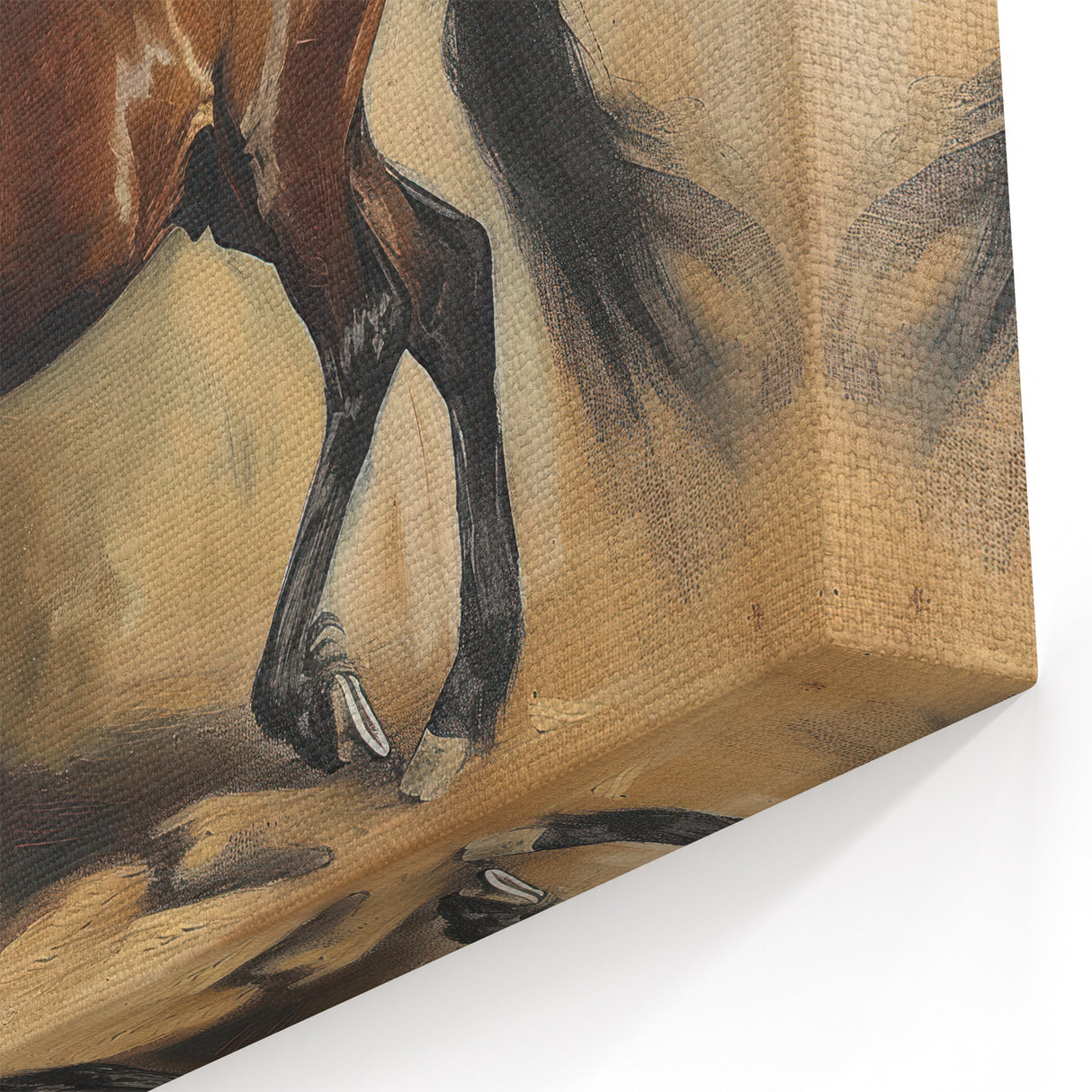 Majestic Stallion Artwork - Animal Canvas Prints for Home Decor