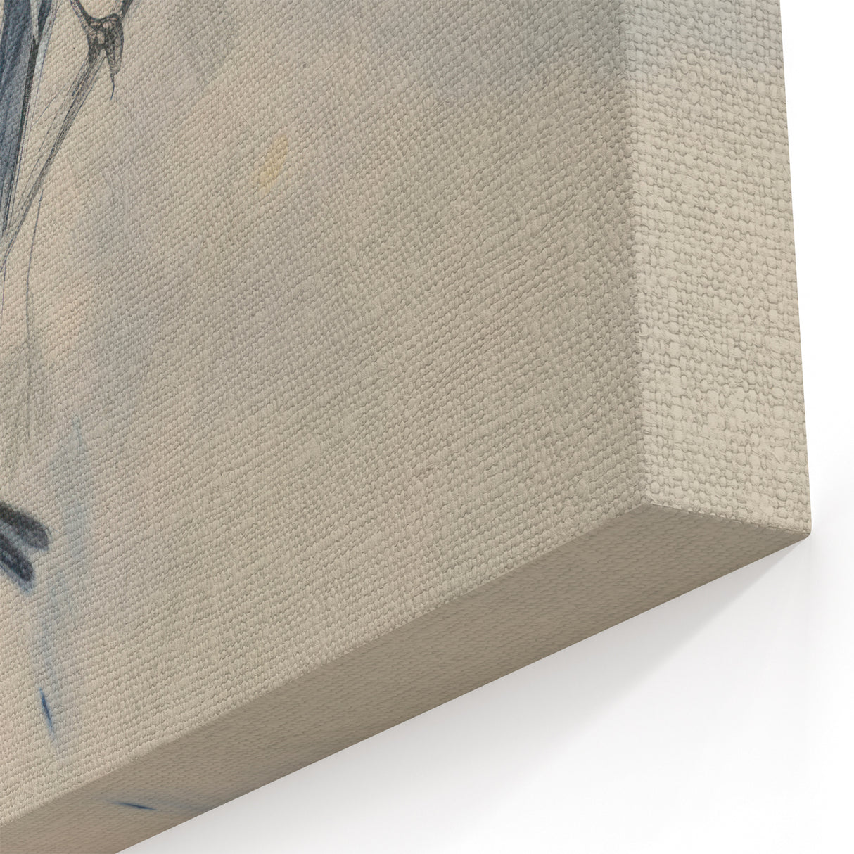 Serene Songbirds Artwork - Animal Canvas Prints for Home Decor