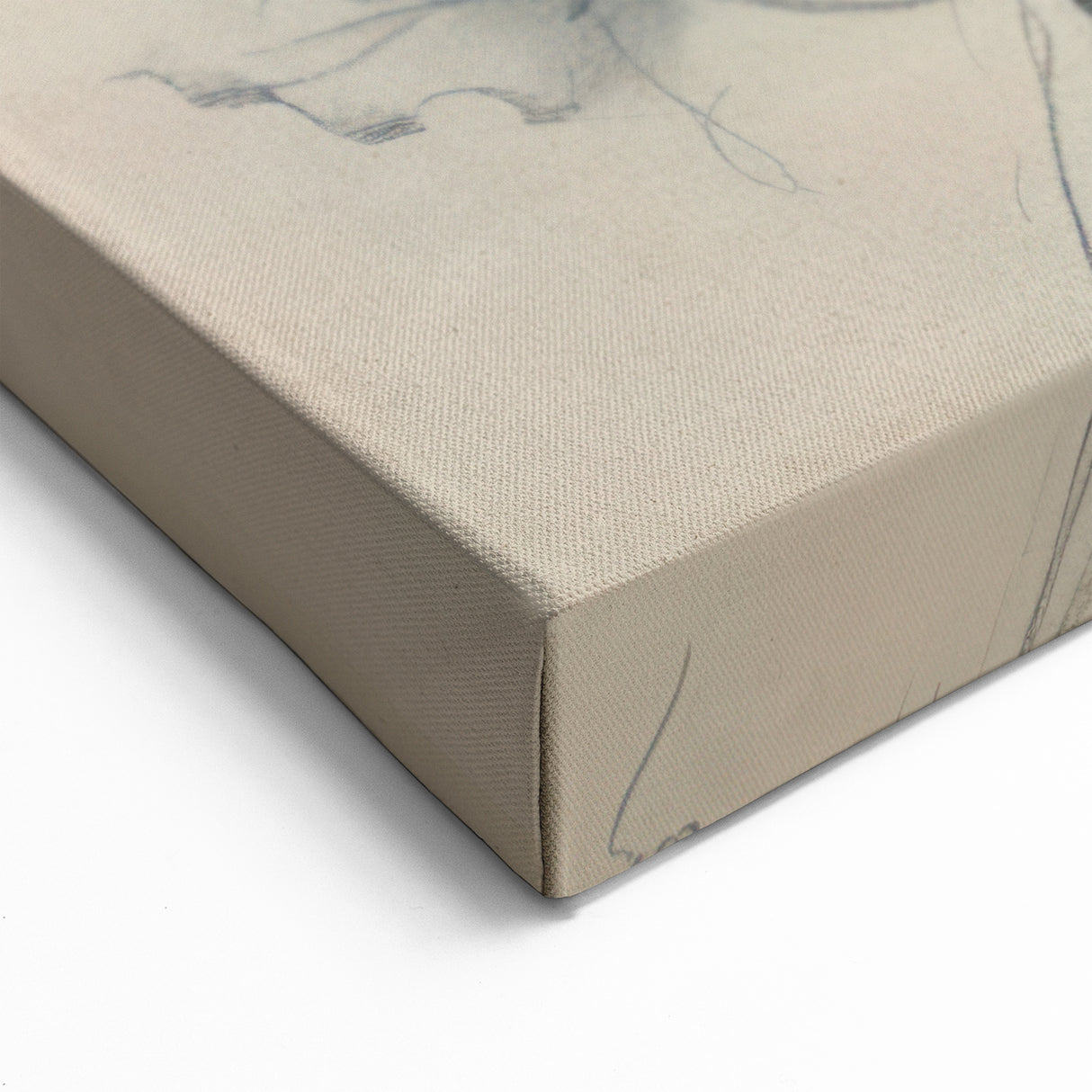 Serene Songbirds Artwork - Animal Canvas Prints for Home Decor