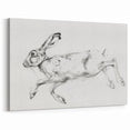 Running Hare Artwork - Animal Canvas Prints for Home Decor