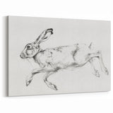 Running Hare Artwork - Animal Canvas Prints for Home Decor