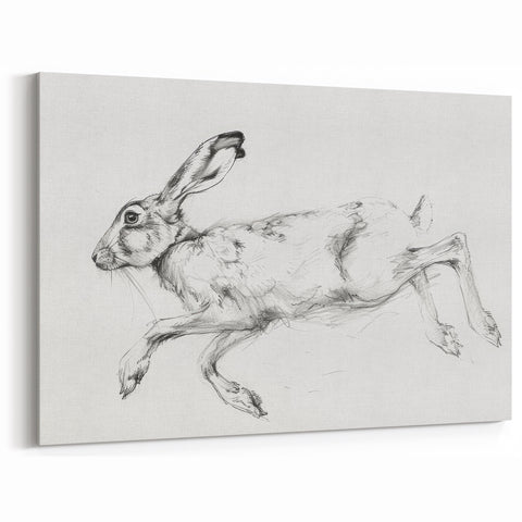 Running Hare Artwork - Animal Canvas Prints for Home Decor