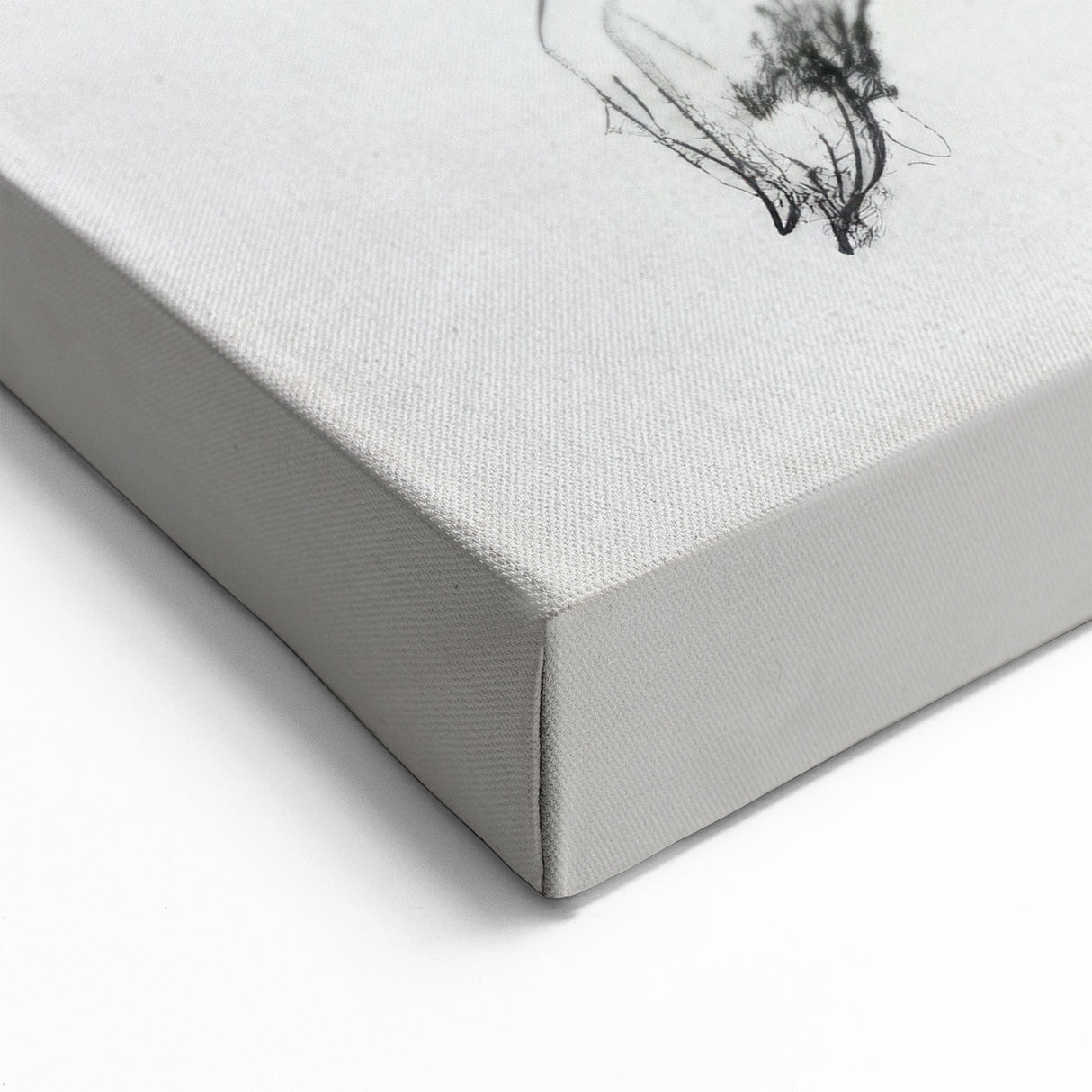 Running Hare Artwork - Animal Canvas Prints for Home Decor