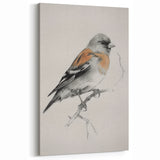 Vivid Finch Artwork - Animal Canvas Prints for Home Decor
