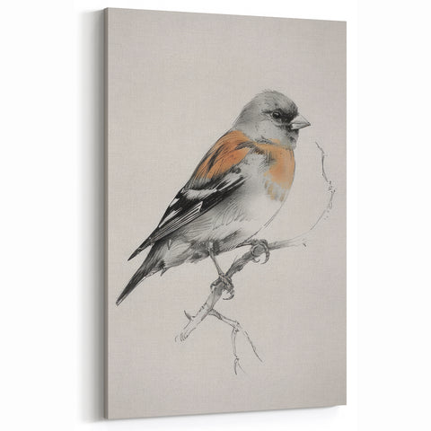 Vivid Finch Artwork - Animal Canvas Prints for Home Decor