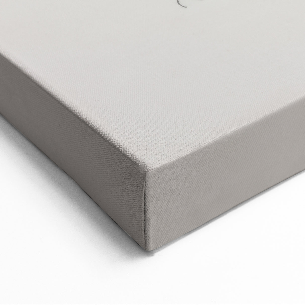 Vivid Finch Artwork - Animal Canvas Prints for Home Decor