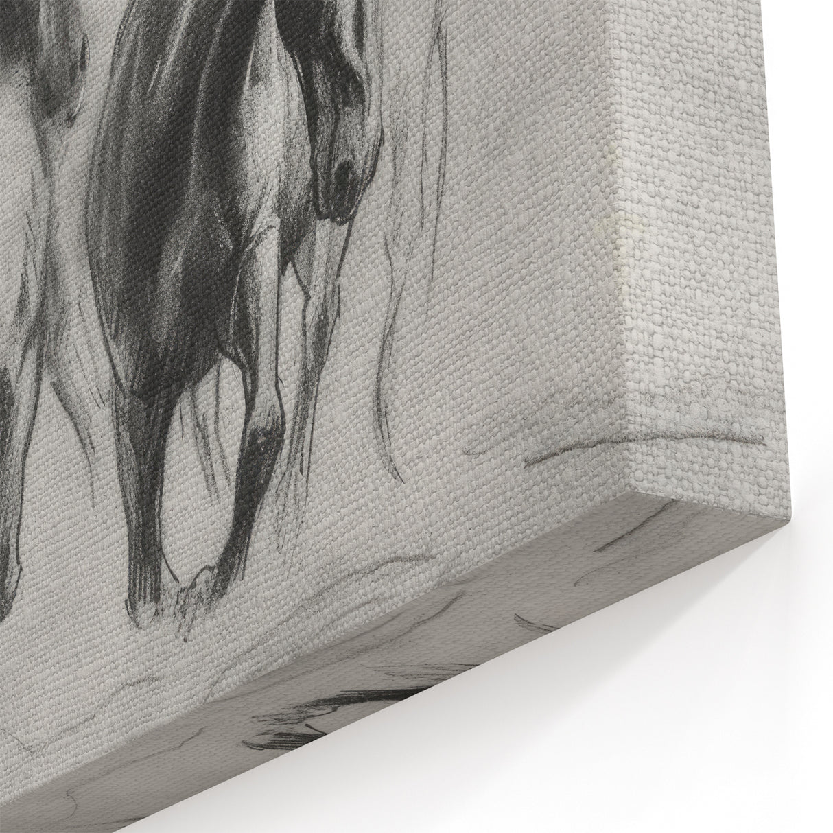 Graceful Wild Horses Artwork - Animal Canvas Prints for Home Decor