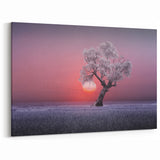 Serene Fields Art Print - Frosted Tree and Sunset Wall Art