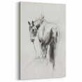 Elegant Horse Sketch - Animal Canvas Prints for Home Decor