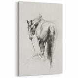 Elegant Horse Sketch - Animal Canvas Prints for Home Decor