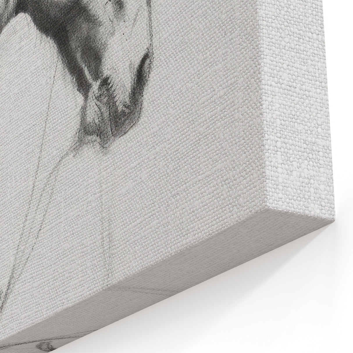 Thoughtful Horse Sketch - Animal Canvas Prints for Home Decor