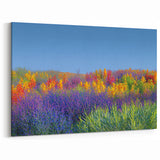 Countryside Fields Wall Hanging - Vibrant Wildflower Meadow Art