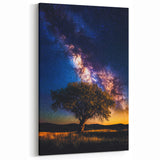 Fields Landscape Acrylic Prints - Lone Tree Under Milky Way Sky
