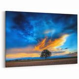 Fields Landscape Acrylic Prints - Lone Tree with Vibrant Sky Art