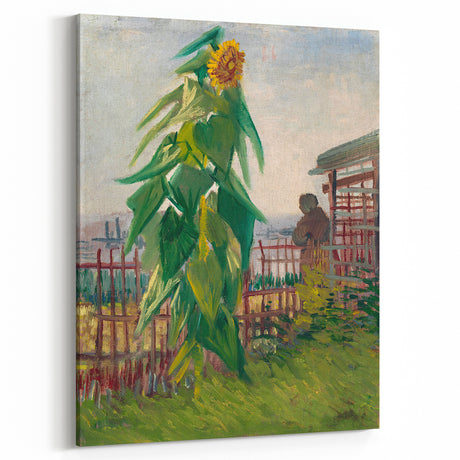 Impressionist Wall Art - Allotment with Sunflower by Van Gogh