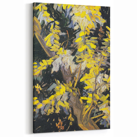 Impressionist Wall Art - Blossoming Acacia Branches by Van Gogh