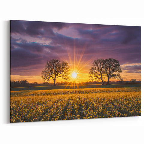 Rolling Fields Canvas Art - Sunset Over Yellow Flower Fields Print