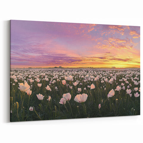 Serene Fields Art Print - Sunset Over White Flower Panorama Decor