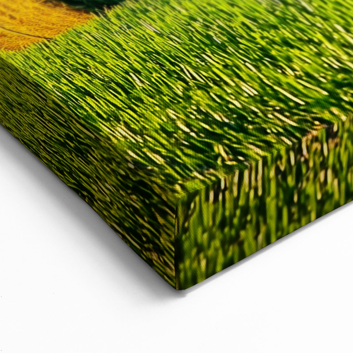 Countryside Fields Wall Hanging - Rolling Green Hills Canvas Art