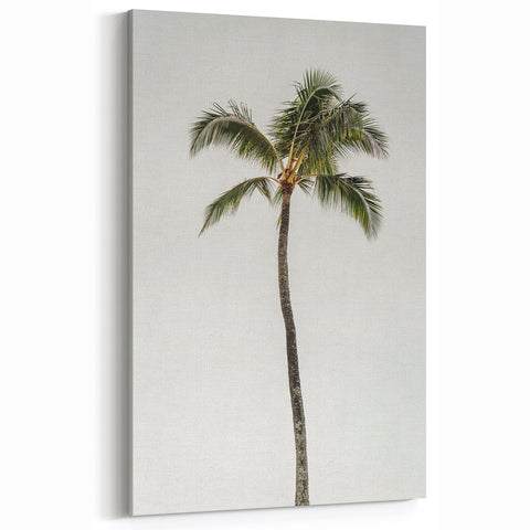 Tropical Wall Art - Summer Landscape Palm Tree Canvas Print