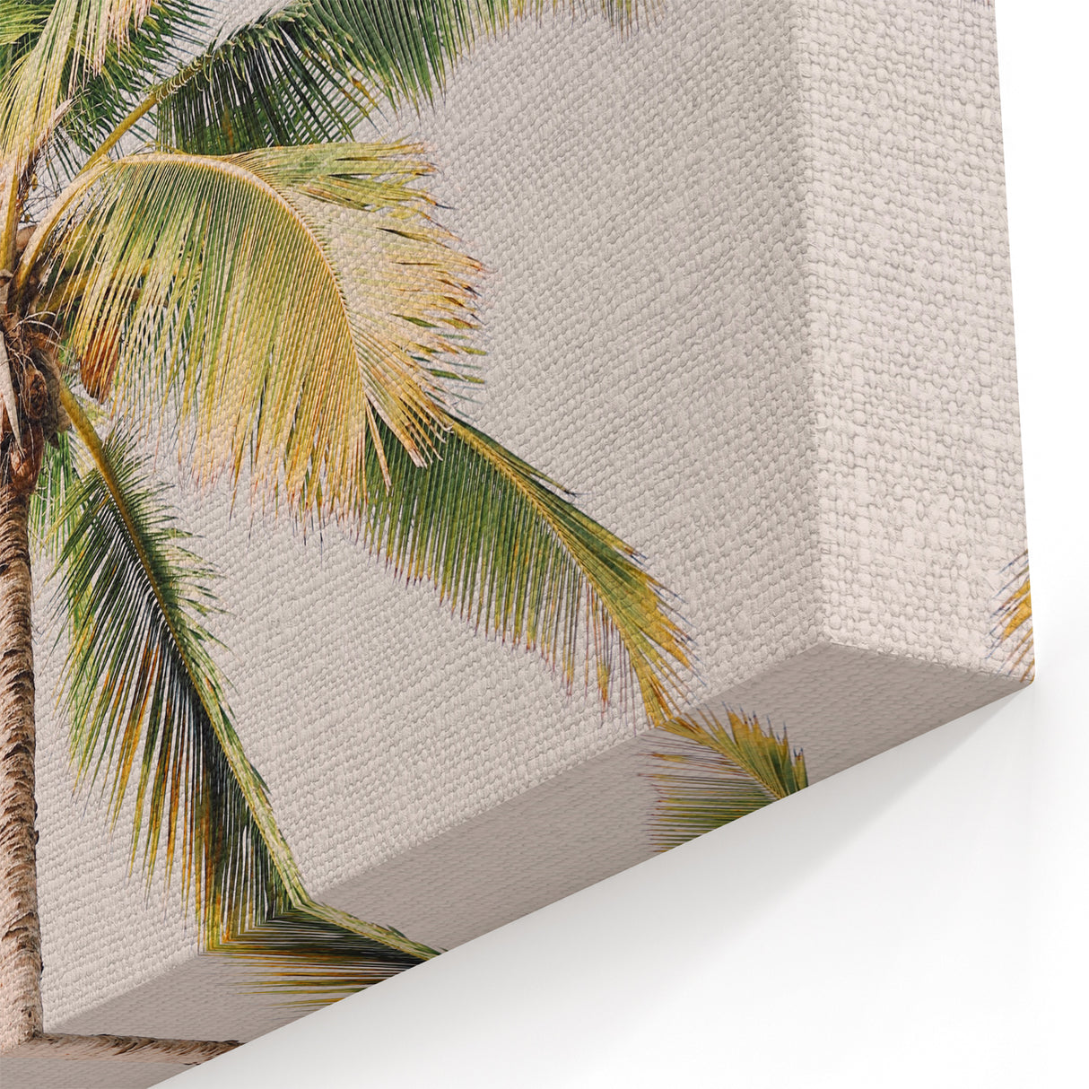 Tropical Wall Art - Vibrant Coconut Palm Summer Canvas Print