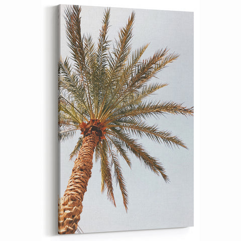 Summer Wall Art - Vibrant Palm Tree Against Clear Sky Canvas Print