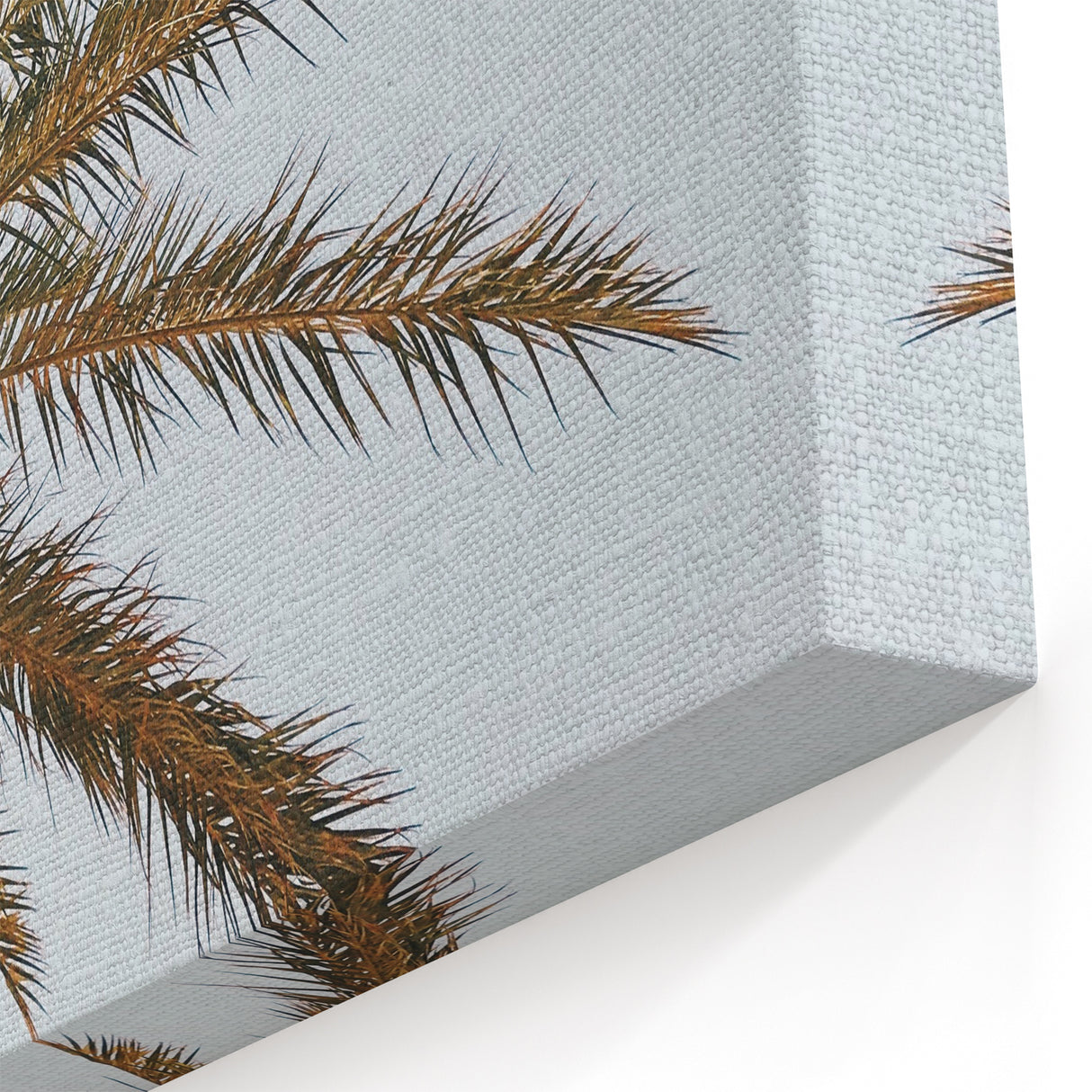 Summer Wall Art - Vibrant Palm Tree Against Clear Sky Canvas Print