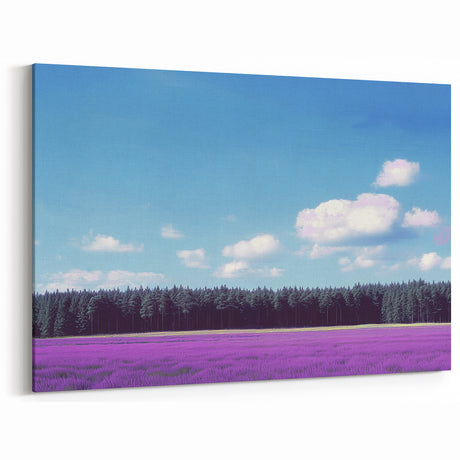 Scenic Fields Framed Art - Lavender Fields Under Clear Blue Sky