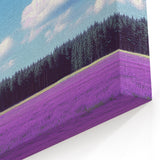 Scenic Fields Framed Art - Lavender Fields Under Clear Blue Sky