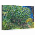 Impressionism Wall Art - Lilac Bush by Van Gogh Print