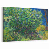 Impressionism Wall Art - Lilac Bush by Van Gogh Print