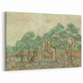 Impressionist Olive Grove Wall Art - The Olive Orchard by Van Gogh