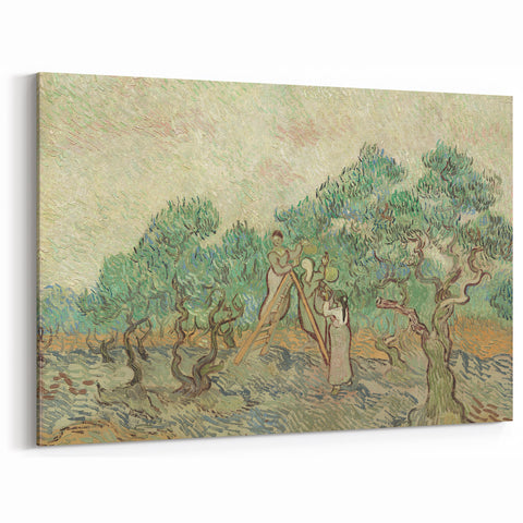 Impressionist Olive Grove Wall Art - The Olive Orchard by Van Gogh