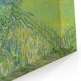 Impressionist Landscape - Vineyards at Auvers by Van Gogh Print