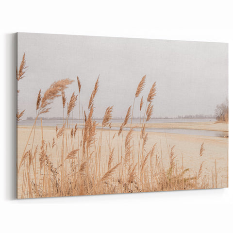 Golden Dune Grasses - Relaxing Summer Scenery Canvas