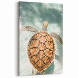 Sea Turtle Serenity - Tropical Summer Vibes Prints