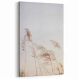 Floral Summer Art – Gentle Reed Grass in Soft Golden Light