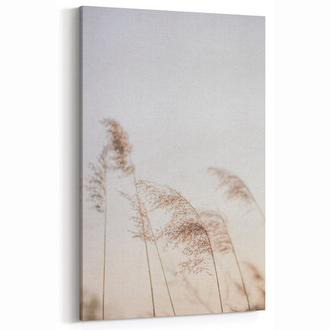 Floral Summer Art – Gentle Reed Grass in Soft Golden Light