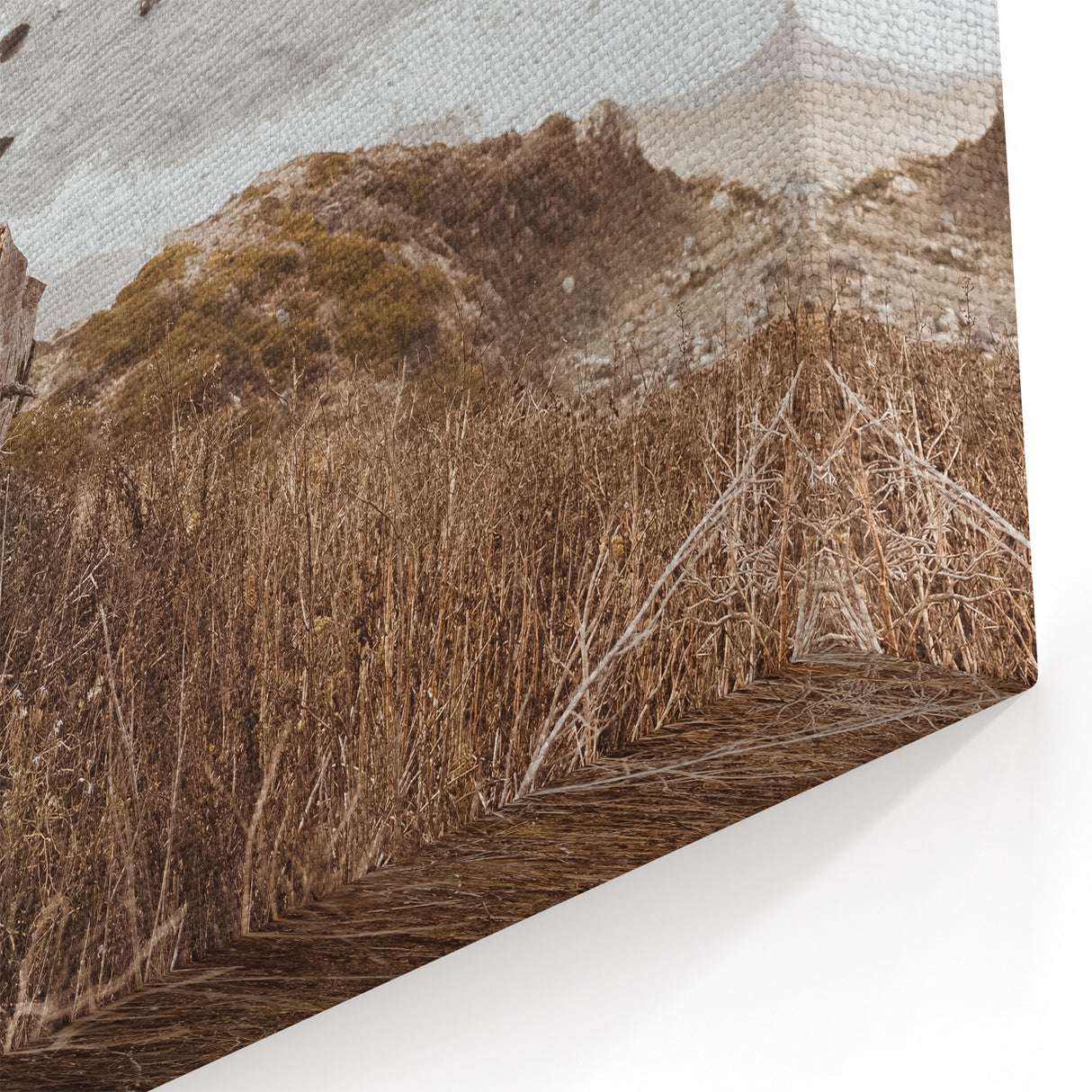 Summer Landscape Art – Coastal Cliff and Ocean Serenity