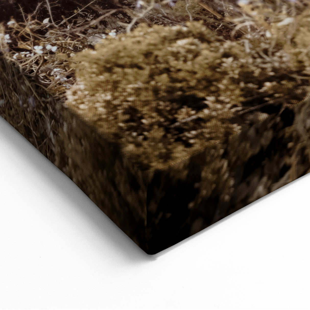 Summer Landscape Art – Coastal Cliff and Ocean Serenity