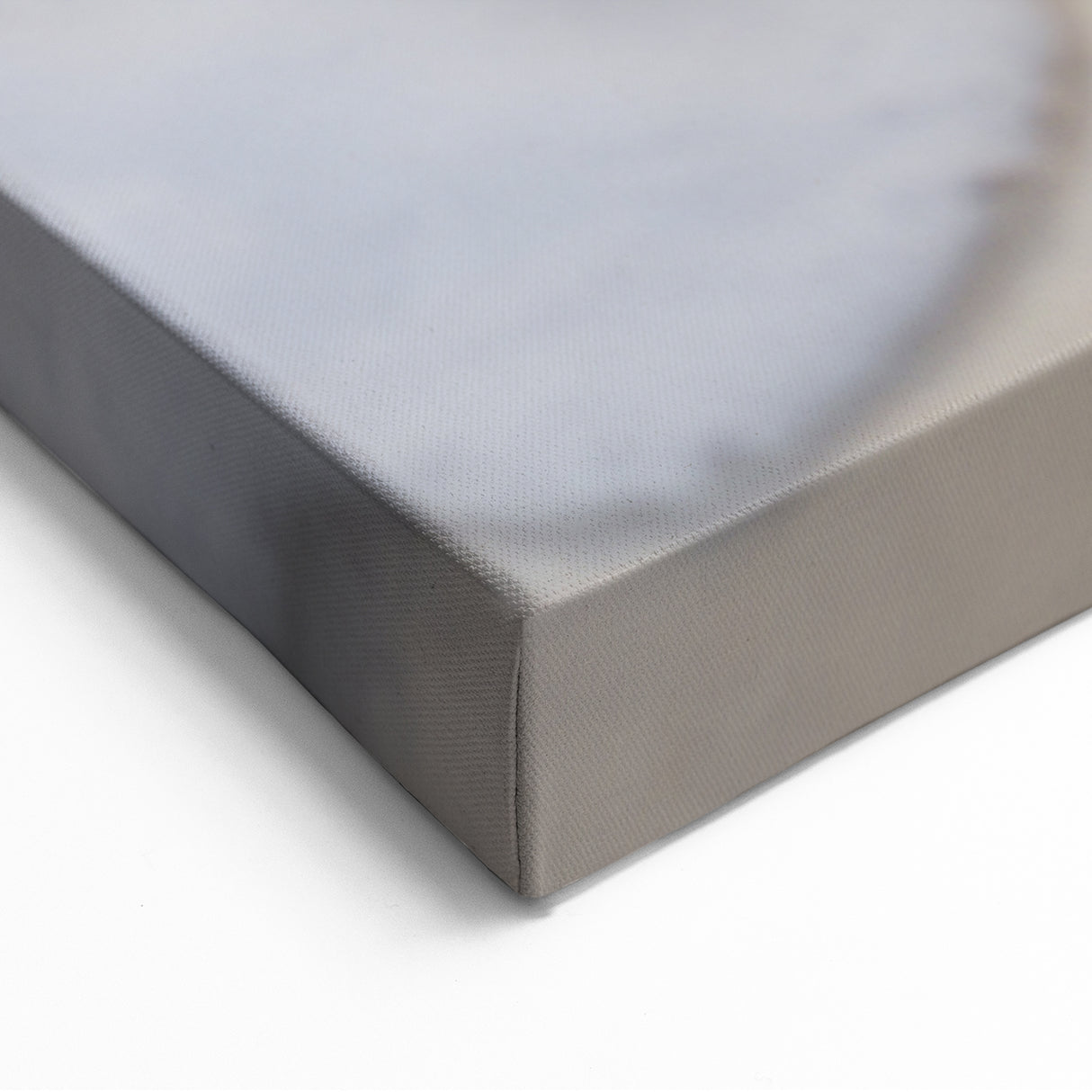 Beach Decor Prints – Seashell and Ocean Waves Canvas Art