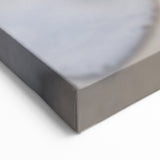 Beach Decor Prints – Seashell and Ocean Waves Canvas Art