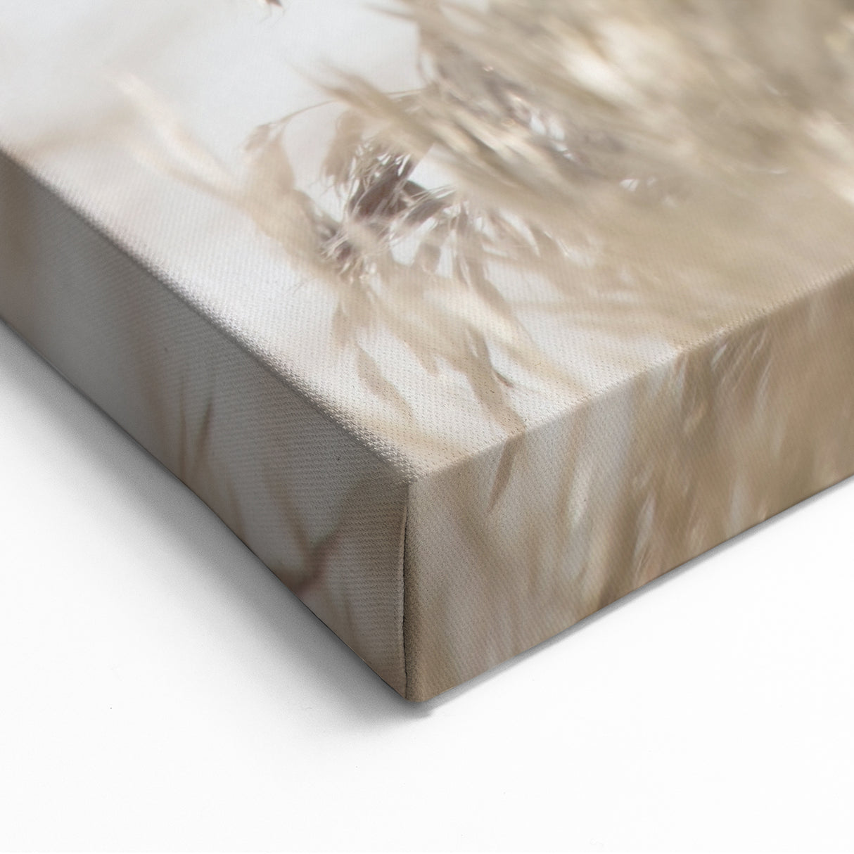 Floral Summer Art – Golden Summer Grass Nature Canvas